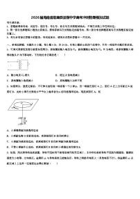 2026届海南省临高县波莲中学高考冲刺物理模拟试题含解析
