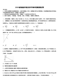 2026届海南省农垦实验中学高考物理四模试卷含解析
