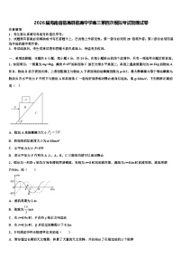 2026届海南省临高县临高中学高三第四次模拟考试物理试卷含解析