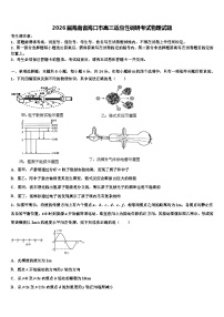 2026届海南省海口市高三适应性调研考试物理试题含解析