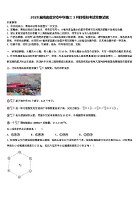 2026届海南省定安中学高三3月份模拟考试物理试题含解析