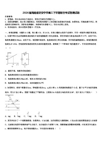 2026届海南省定安中学高三下学期联合考试物理试题含解析
