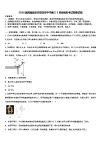 2026届海南省定安县定安中学高三3月份模拟考试物理试题含解析