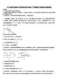 2026届河北省衡水市武邑县武邑中学高三下学期第五次调研考试物理试题含解析
