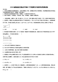 2026届海南省五指山中学高三下学期第五次调研考试物理试题含解析