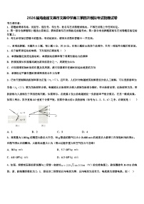 2026届海南省文昌市文昌中学高三第四次模拟考试物理试卷含解析