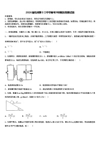2026届杭州第十三中学高考冲刺模拟物理试题含解析