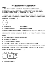 2026届杭州市采荷中学高考适应性考试物理试卷含解析