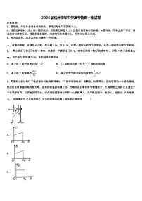 2026届杭州学军中学高考物理一模试卷含解析