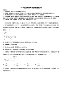 2026届合肥市高考物理四模试卷含解析