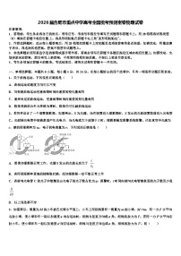 2026届合肥市重点中学高考全国统考预测密卷物理试卷含解析