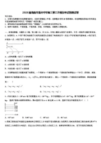 2026届海南市重点中学高三第三次模拟考试物理试卷含解析