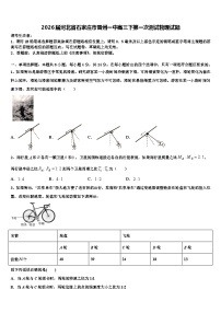 2026届河北省石家庄市晋州一中高三下第一次测试物理试题含解析