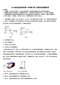 2026届河北省沧州市第一中学高三第二次模拟考试物理试卷含解析