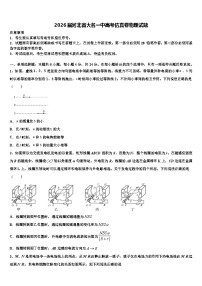 2026届河北省大名一中高考仿真卷物理试题含解析