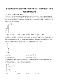 湖北省武汉市华中师范大学第一附属中学2024-2025学年高一上学期期末检测物理试卷（含答案）