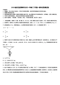 2026届河北省邯郸市永年一中高三下学期一模考试物理试题含解析