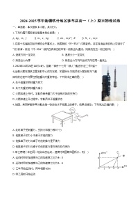 2024-2025学年新疆喀什地区莎车县高一（上）期末物理试卷（含解析）