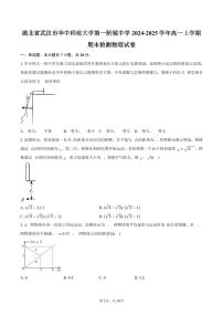 湖北省武汉市华中师范大学第一附属中学2024-2025学年高一上学期期末检测物理试卷（含答案）
