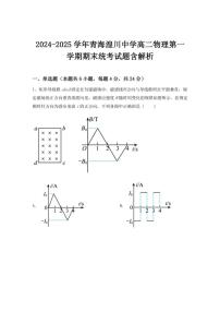 2024-2025学年青海省西宁市青海湟川中学高二上学期期末物理试题（有解析）