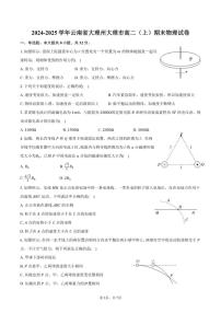 2024-2025学年云南省大理州大理市高二（上）期末物理试卷（有答案）