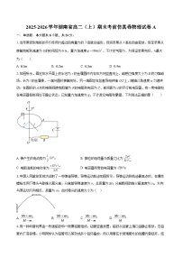 2025-2026学年湖南省高二（上）期末考前仿真卷物理试卷A-自定义类型