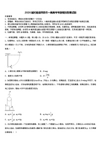 2026届河南省辉县市一高高考考前模拟物理试题含解析