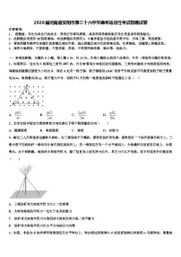 2026届河南省安阳市第三十六中学高考适应性考试物理试卷含解析