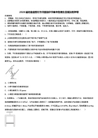2026届河南省登封市外国语中学高考物理全真模拟密押卷含解析
