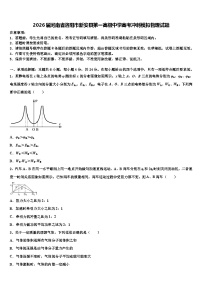 2026届河南省洛阳市新安县第一高级中学高考冲刺模拟物理试题含解析