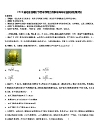 2026届河南省开封市兰考县等五县联考高考考前模拟物理试题含解析