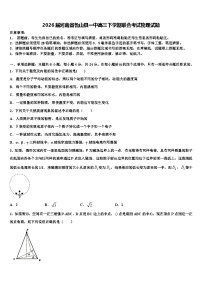 2026届河南省鲁山县一中高三下学期联合考试物理试题含解析