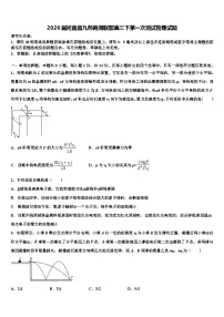 2026届河南省九师商周联盟高三下第一次测试物理试题含解析
