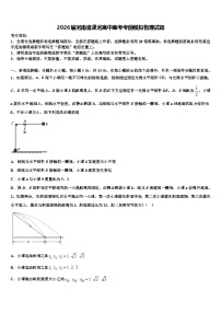 2026届河南省漯河高中高考考前模拟物理试题含解析