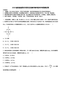 2026届河南省漯河市漯河实验高中高考临考冲刺物理试卷含解析