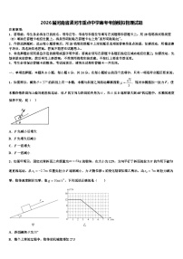 2026届河南省漯河市重点中学高考考前模拟物理试题含解析