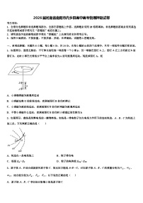 2026届河南省南阳市内乡县高中高考物理押题试卷含解析