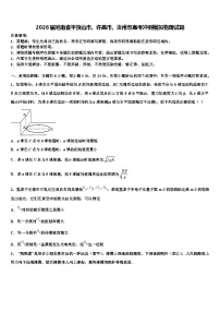 2026届河南省平顶山市，许昌市，汝州市高考冲刺模拟物理试题含解析