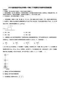2026届河南省平顶山市郏县一中高三下学期第五次调研考试物理试题含解析