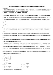 2026届河南省漯河实验高中高三下学期第五次调研考试物理试题含解析