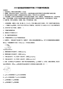 2026届河南省淇县高级中学高三下学期联考物理试题含解析