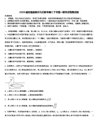 2026届河南省商开九校联考高三下学期一模考试物理试题含解析
