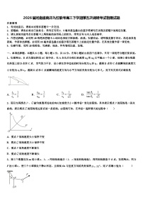 2026届河南省商开九校联考高三下学期第五次调研考试物理试题含解析
