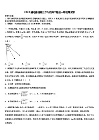 2026届河南省商丘市九校高三最后一卷物理试卷含解析