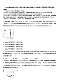 2026届河南省三门峡市灵宝市第三高级中学高三3月份第一次模拟考试物理试卷含解析
