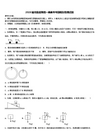 2026届河南省舞阳一高高考考前模拟物理试题含解析