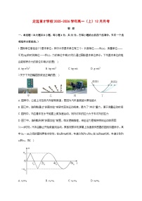 安徽省定远育才学校2025—2026学年高一（上）12月月考物理试题 [含答案]
