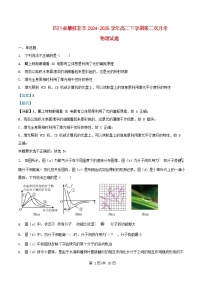 四川省攀枝花市2024_2025学年高二物理下学期第二次月考试题含解析