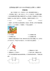 2025-2026学年江苏省连云港市高三上学期11月期中物理试卷（学生版）