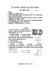 2026届上海市徐汇区高三上学期一模考试物理试题 （高考模拟）